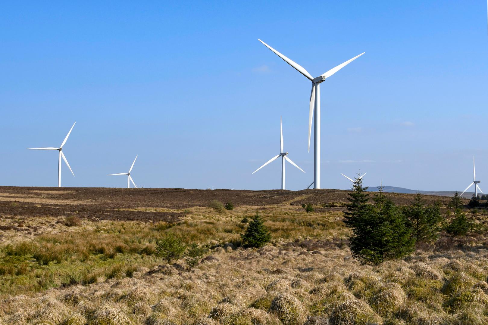 Groundlevel view of wind turbines in a natural landscape, highlighting renewable electricity generation