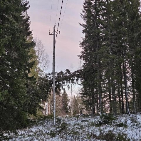 Overhead power line infrastructure restored in a forested area after storm damage, supporting reliable electricity distribution in challenging terrain