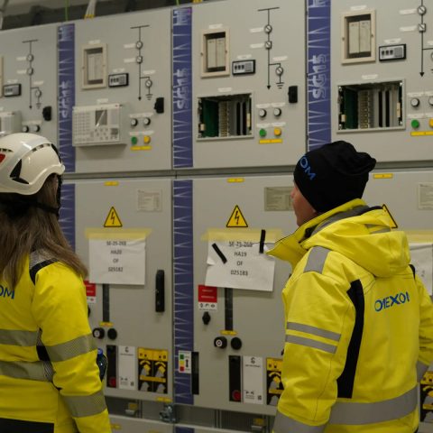 Omexom team gathered at a substations project site