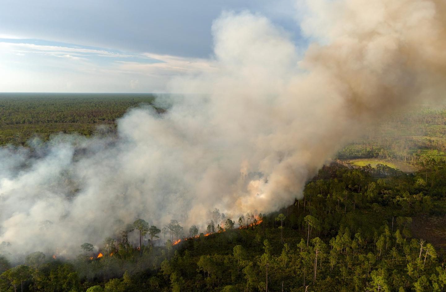 Forest Fire Protection