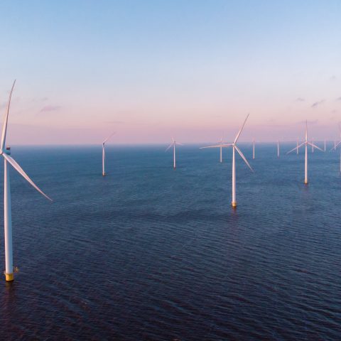 Windmill turbines in the Netherlands at sea with a blue sky