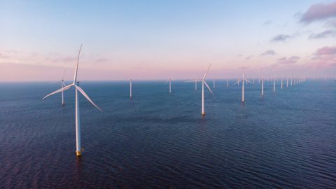 Windmill turbines in the Netherlands at sea with a blue sky