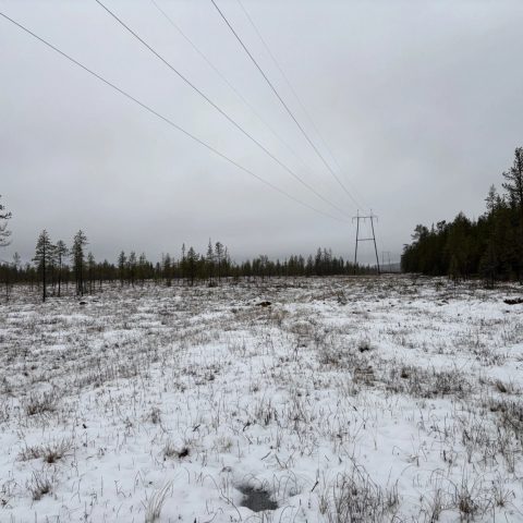 A snow-covered transmission line corridor in Finnish Lapland, with overhead power lines stretching across an open landscape bordered by sparse coniferous forest under an overcast winter sky.
