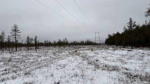 A snow-covered transmission line corridor in Finnish Lapland, with overhead power lines stretching across an open landscape bordered by sparse coniferous forest under an overcast winter sky.