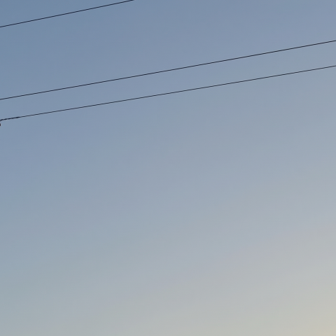 Power line technician working on a utility pole against a dusk sky.