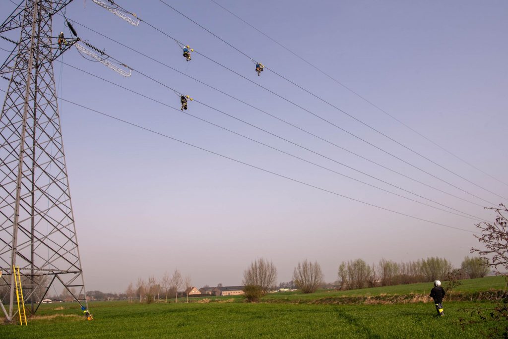 bird-makers-omexom-belgium
