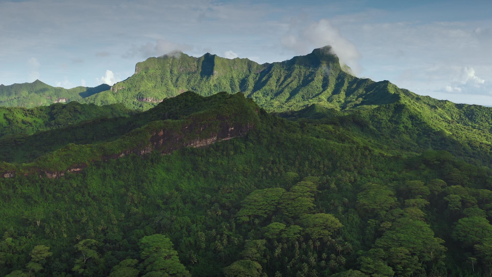 Lush tropical forest and mountain landscape illustrating biodiversity conservation and sustainable land management